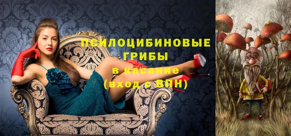 спиды Армянск