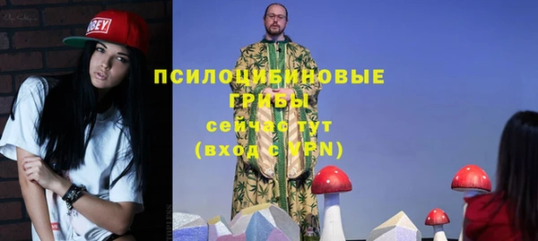 a pvp Аркадак