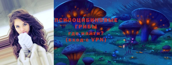 a pvp Аркадак
