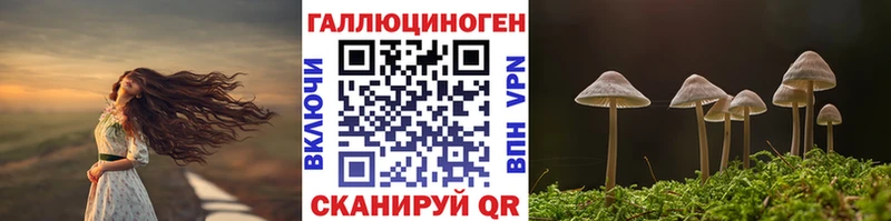 Псилоцибиновые грибы MAGIC MUSHROOMS  Горняк 